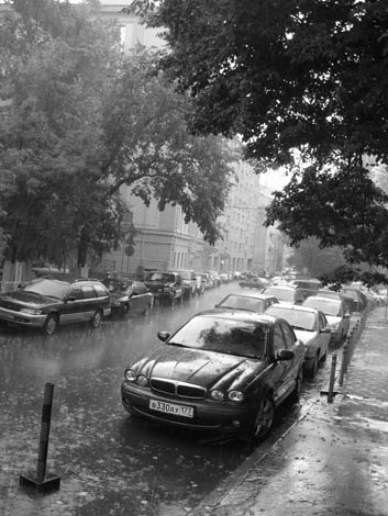 rain