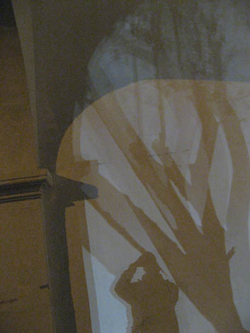 night shadows & me